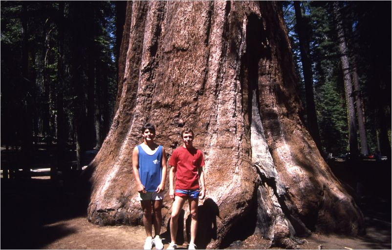Yosemite,  normal faces